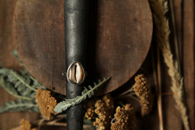 US 8 || Hawaiian Snake Head Cowry Ring || 14k gold + Silver