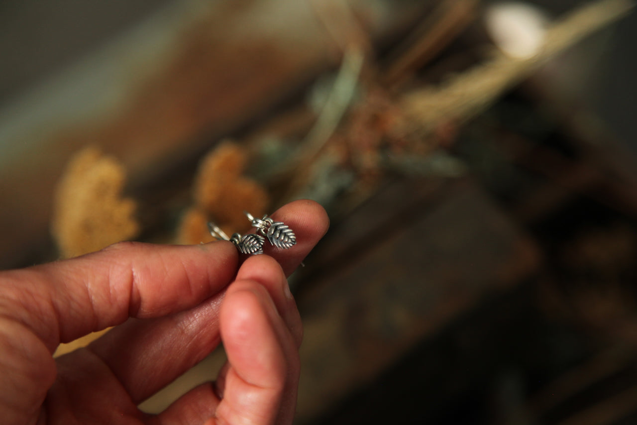 NO. 12 - Grounded - Silver Succulent Earrings