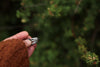 SALE || US SZ 7.5-7.75 || Ad Maiora Riveted Arrows Ring