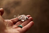 NO. 2 || Emerge - Quartz and Succulent Earrings